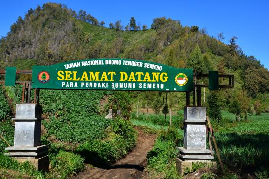 Misteri Gadis Pendaki Puncak Gunung Semeru