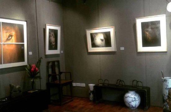 Saatnya Impian Jadi Nyata - 5 Tempat Galeri Seni Singapura Dengan Karya Seni Menawan