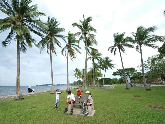 Saatnya Impian Jadi Nyata: Pasir Ris Park, Berkelana ke Ujung Timur Singapura
