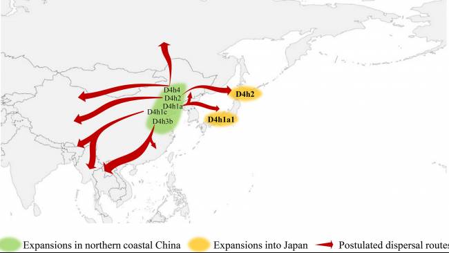 Penelitian Terbaru Ungkap Migrasi Prasejarah dari China ke Benua Amerika
