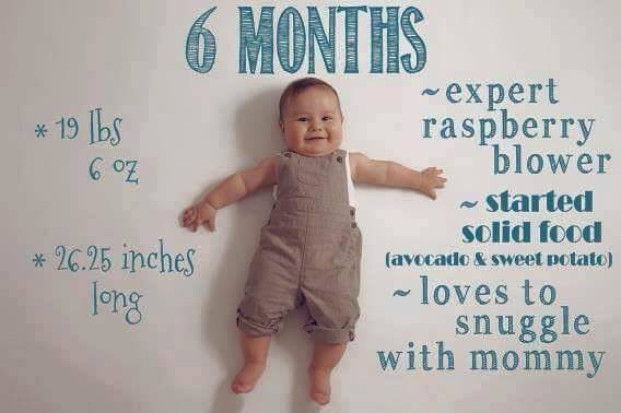Foto kreatif Perkembangan Bayi selama 12 bulan