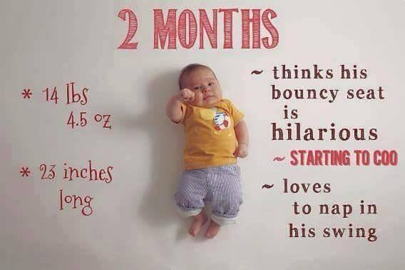 Foto kreatif Perkembangan Bayi selama 12 bulan