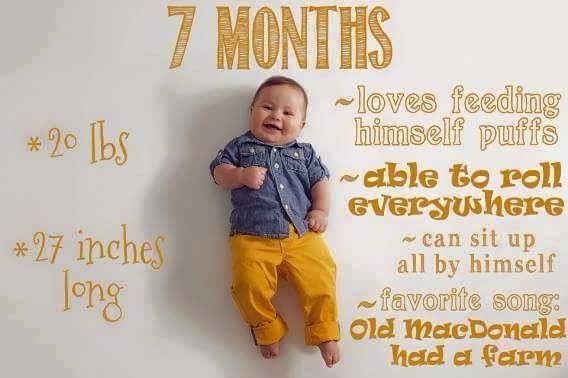 Foto kreatif Perkembangan Bayi selama 12 bulan