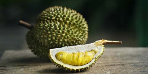 10 Manfaat Durian