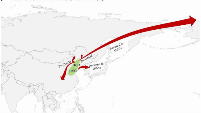 Penelitian Terbaru Ungkap Migrasi Prasejarah dari China ke Benua Amerika