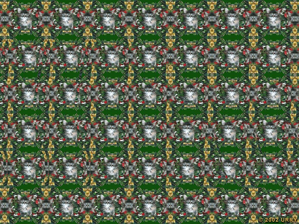 Stereogram, cara melihat gambar 2D sehingga muncul gambar 3D.