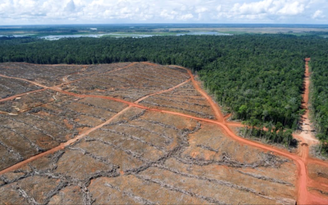 watch-039the-world-should-see-this039-say-papua-deforestation-doco-filmmakers