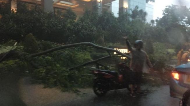 Jakarta Tergenang Air dan Pohon Tumbang Jelang Tahun Baru