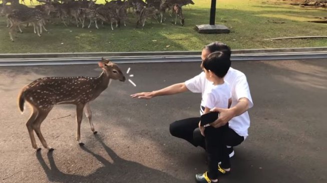 Sindiran Menohok Warganet Malaysia untuk Vlog Jokowi Bareng Cucu