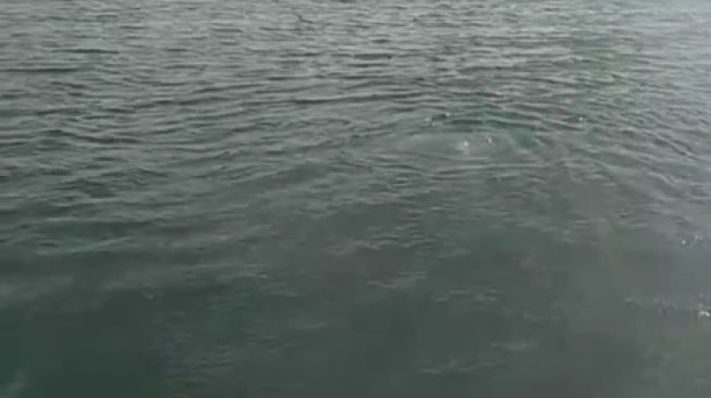Muncul Gelembung Misterius di Laut Gunung Anak Krakatau, Pertanda Apa?