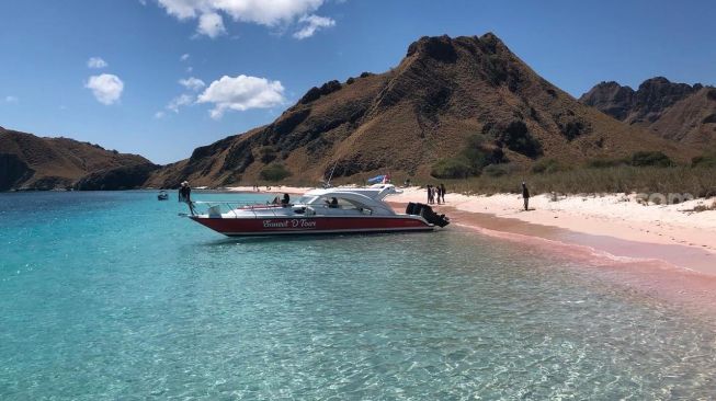 kenapa-pasir-pink-beach-labuan-bajo-berwarna-merah-muda