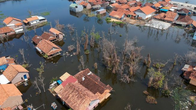 Sudah 3 Pekan Banjir Rob Menggenangi Pekalongan Jawa Tengah