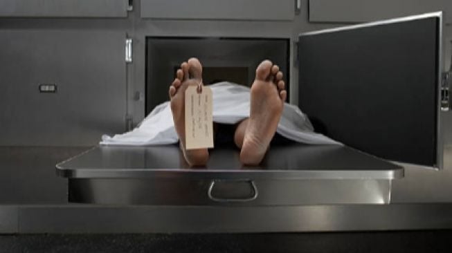 Waspada Gerakan OPM yang Mungkin Balas Dendam Setelah Warga Papua Dimutilasi