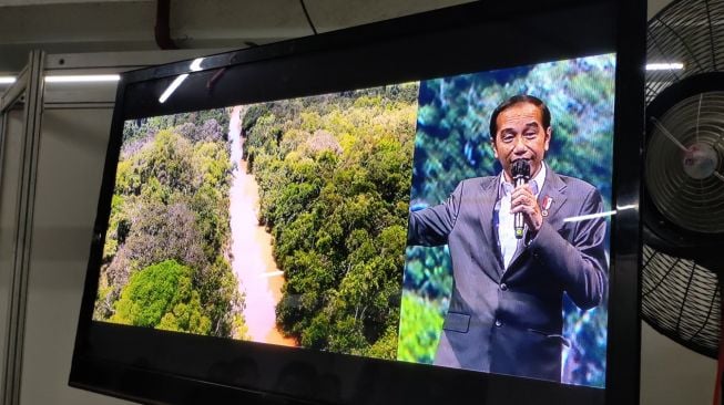 Cara Jokowi Jelaskan IKN Dibilang Mirip Feni Rose, Warganet Malu