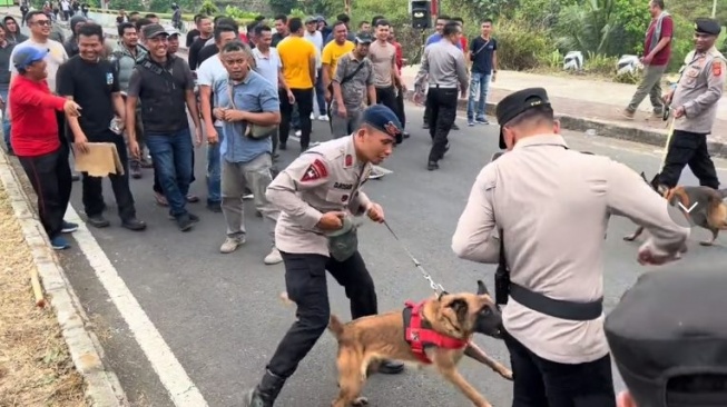 Viral Anjing Polisi Gigit Polisi: Ekspresi Komandan Disorot
