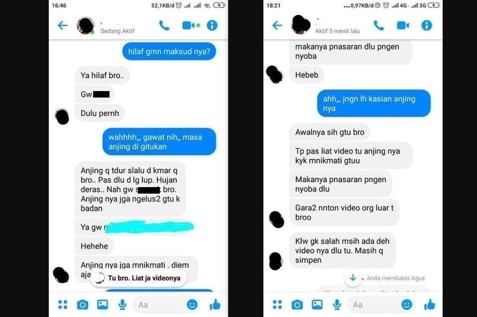 Jauh dari Istri, Pria Ini Nekat Setubuhi Anjing, Pengakuannya Bikin Syok