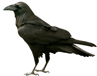 post-image