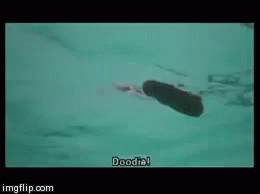 kotoran-manusia-dari-toilet-kapal-laut-pasti-dibuang-ke-laut-ini-faktanya