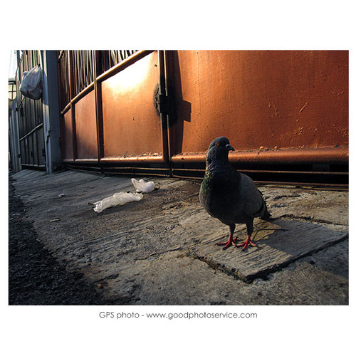 training-dan-hunting-bareng-bersama-gps-photography