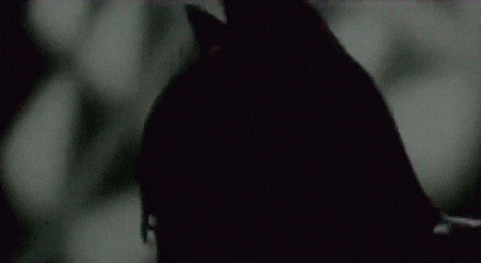 discussion-dc-extended-universe--official---part-1