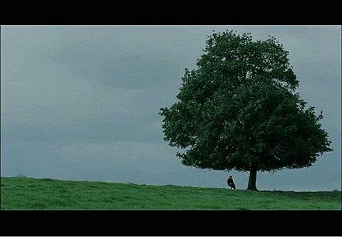 post-image