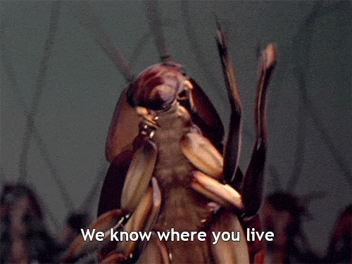 5-binatang-dengan-kemampuan-aneh-tapi-luar-biasa-keren