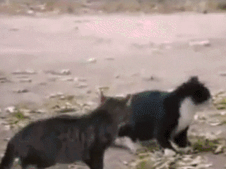 bocoran-foto-set-lokasi-star-wars-9