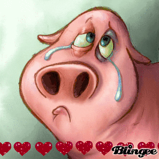 perjalanan-ke-karimun-ahok-tewas-di-atas-kapal-feri