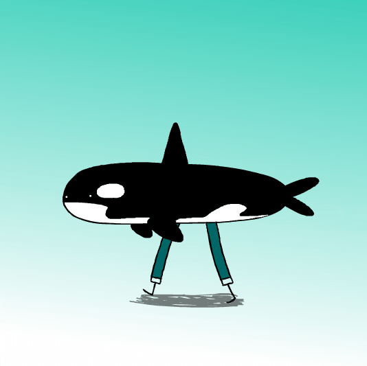 strategi-berburu-orca--wolf-of-the-sea