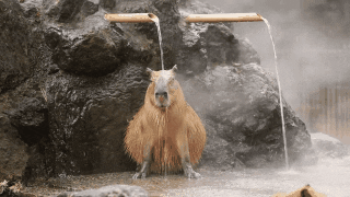 mengenal-aneka-jenis-onsen-di-hakone