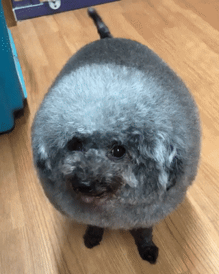 masker-sperma-bisa-hilangkan-jerawat-dan-tunda-penuaan-benar-nggak-sih