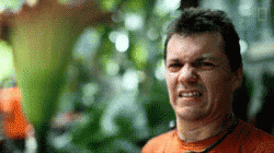 serasa-hutan-beneran-ini-dia-elephant-park-lombok