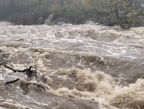 banjir-malaysia-paksa-122631-orang-mengungsi-kenapa-bisa-begitu-banyak