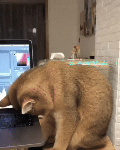 roy-kiyoshi-mengaku-membeli-obat-psikotropika-secara-online