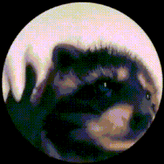 post-image