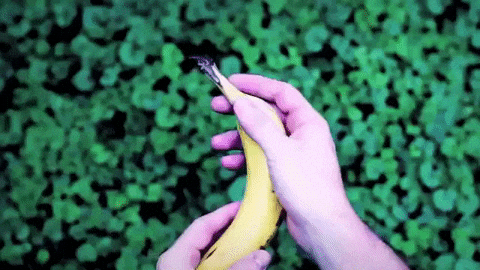 berjuta-manfaat-rasa-dan-aroma-buah-pisang-bagi-tubuh