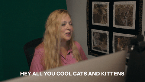 cool-cats-and-kittens-test