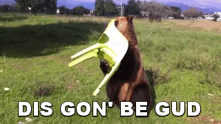 panas-anggap-hakim-mk-arief-hidayat-tekan-saksi-bw-diancam-dikeluarkan