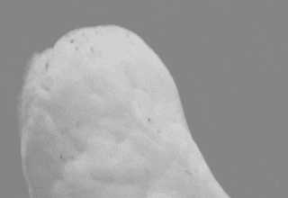 ini-karakter-8-avengers-lokal-yang-bakal-ramaikan-perfilman-indonesia