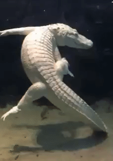 test-gif-gan