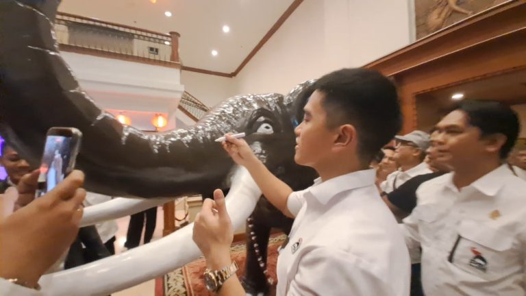 kaesang-tegaskan-solo-kandang-gajah--ora-sah-kandang-liyane