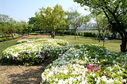 Keindahan Taman Seonyudo, Seoul - Korea Selatan