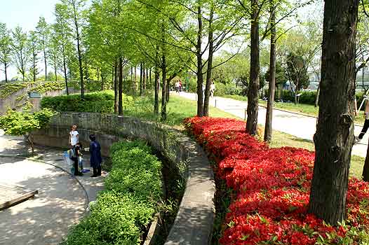 Keindahan Taman Seonyudo, Seoul - Korea Selatan