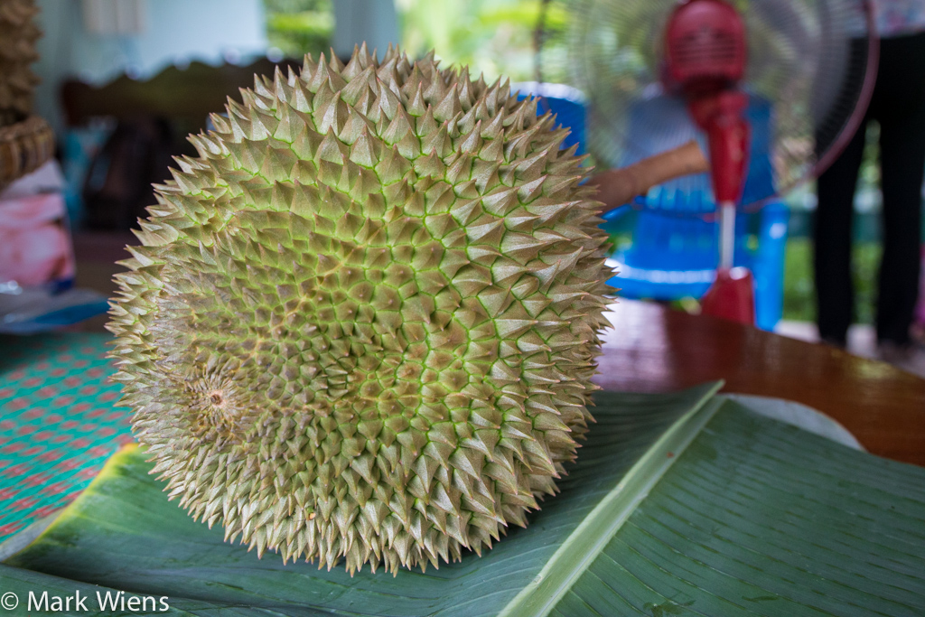 8 Tips Memilih DURIAN Yang Bagus dan Lezat