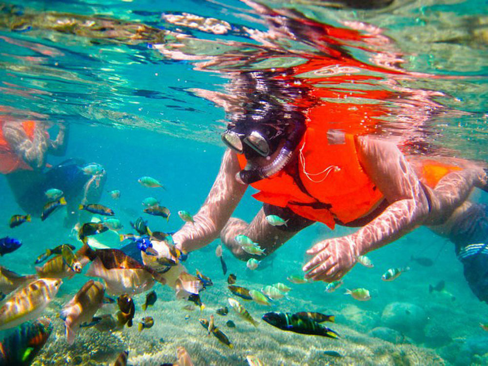 Nih gan yang hobi Snorkeling, 5 Titik terbaik snorkling di Indonesia