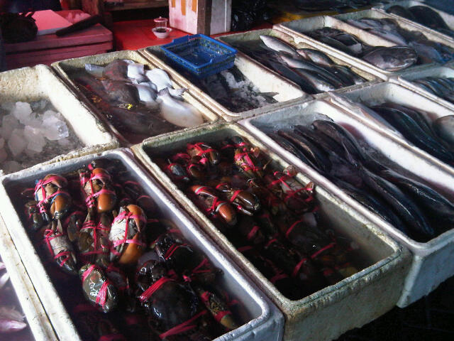 25 hal yang bisa kamu lakukan di Cimaja
