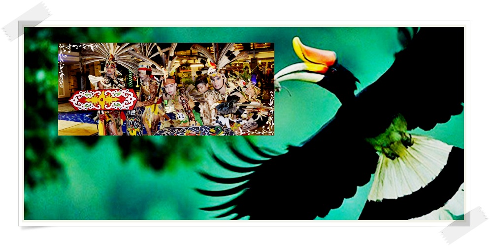 Cegah Kepunahan Burung Enggang Khas Kalimantan TImur dengan Teknologi Reproduksi