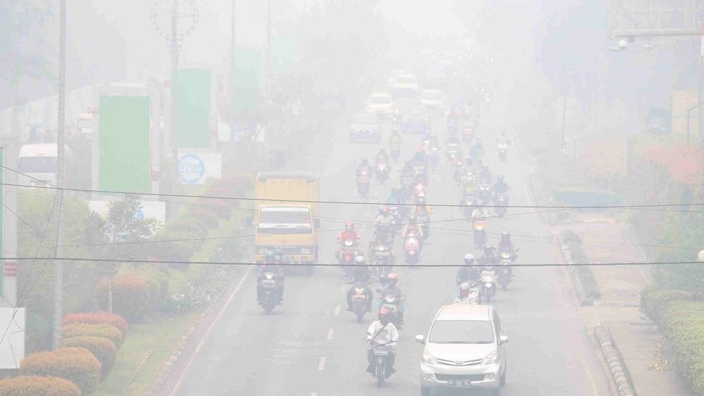 &#91;Coc Reg. KalTim&#93; Penyebab Kebakaran Hutan KalTim, Faktor Alam atau Ulah Manusia?