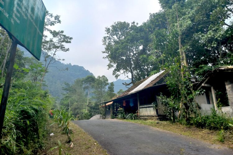 Mengenal Musimin, Petani Lereng Merapi yang Menolak Pesanan Kopi dari Jepang