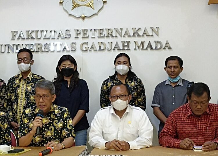Harga Telur Sempat Tinggi, Peternak Sebutkan Penyebabnya